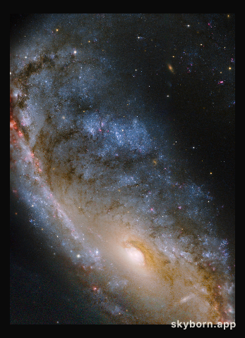 Hubble image of the Meathook Galaxy