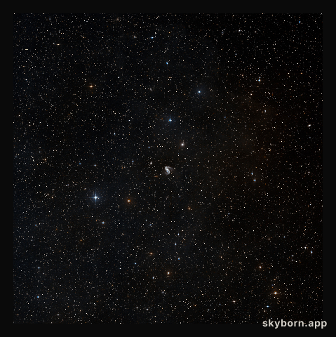 Wide-field image of the area around the Meathook galaxy (ground-based image)