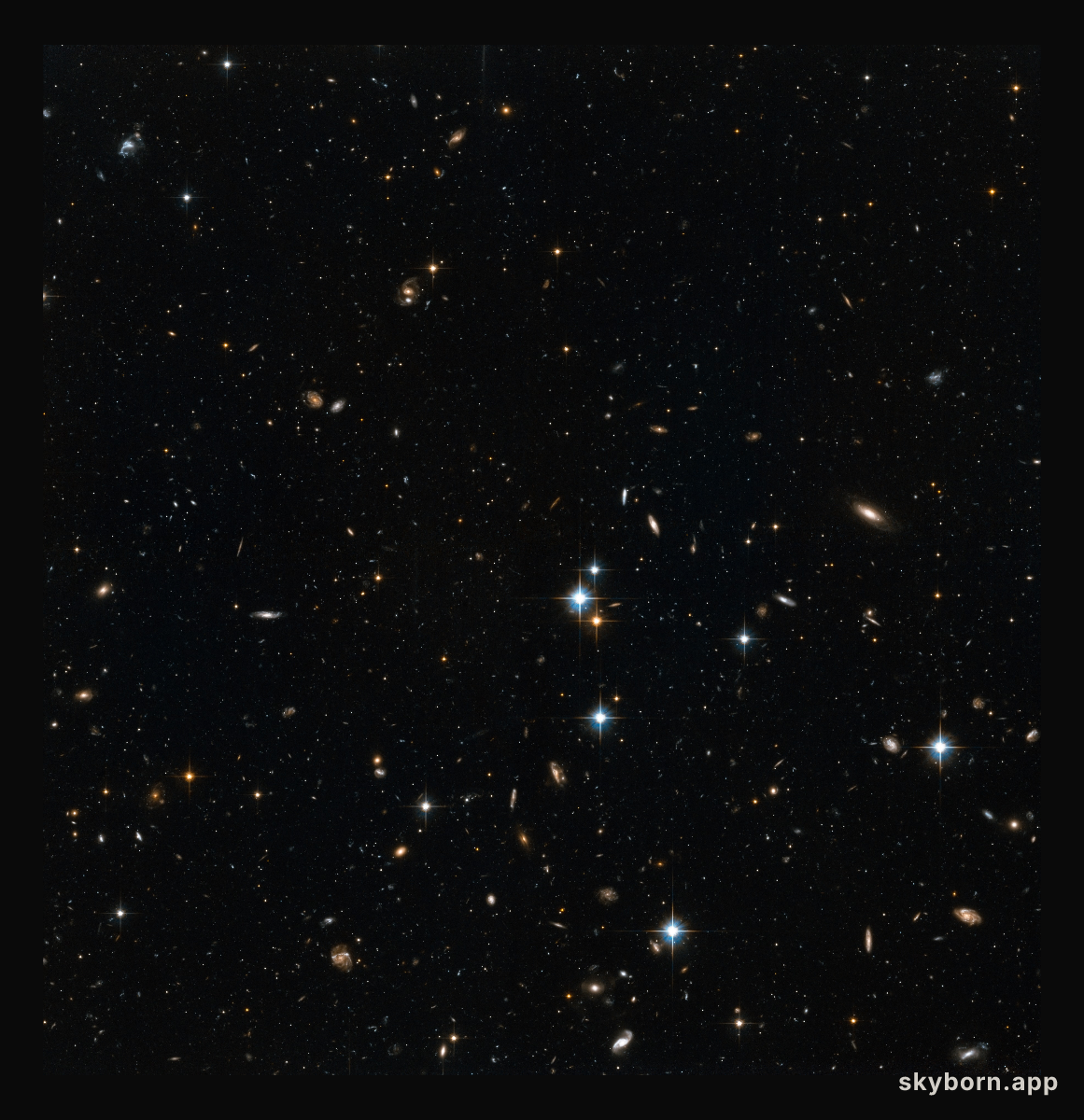 Stars in the Andromeda Galaxy’s halo with background galaxies (1)