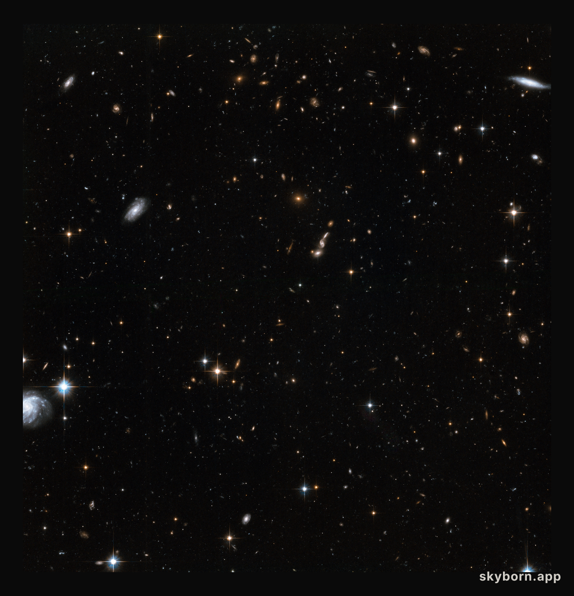 Stars in the Andromeda Galaxy’s halo with background galaxies (2)