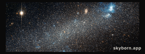 Hubble view of NGC 2366