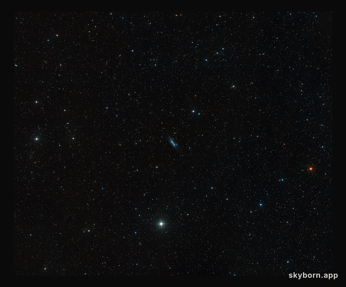 Ground-based, wide-field view of NGC 2366