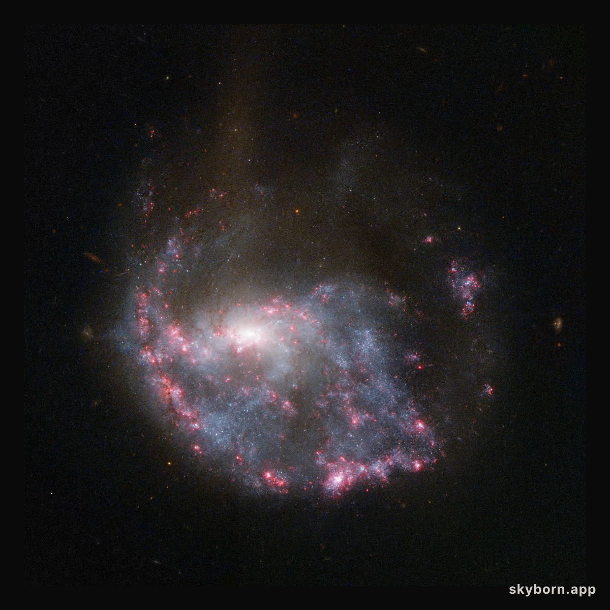 Hubble view of NGC 922