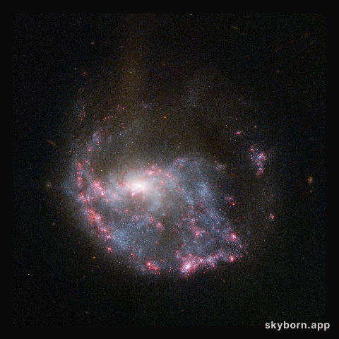 Hubble view of NGC 922