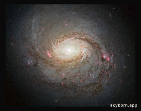 Hubble image of Messier 77