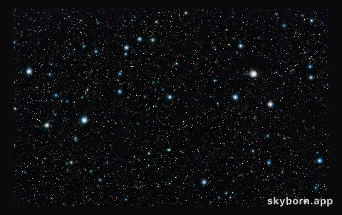 The full COSMOS field (UltraVISTA)