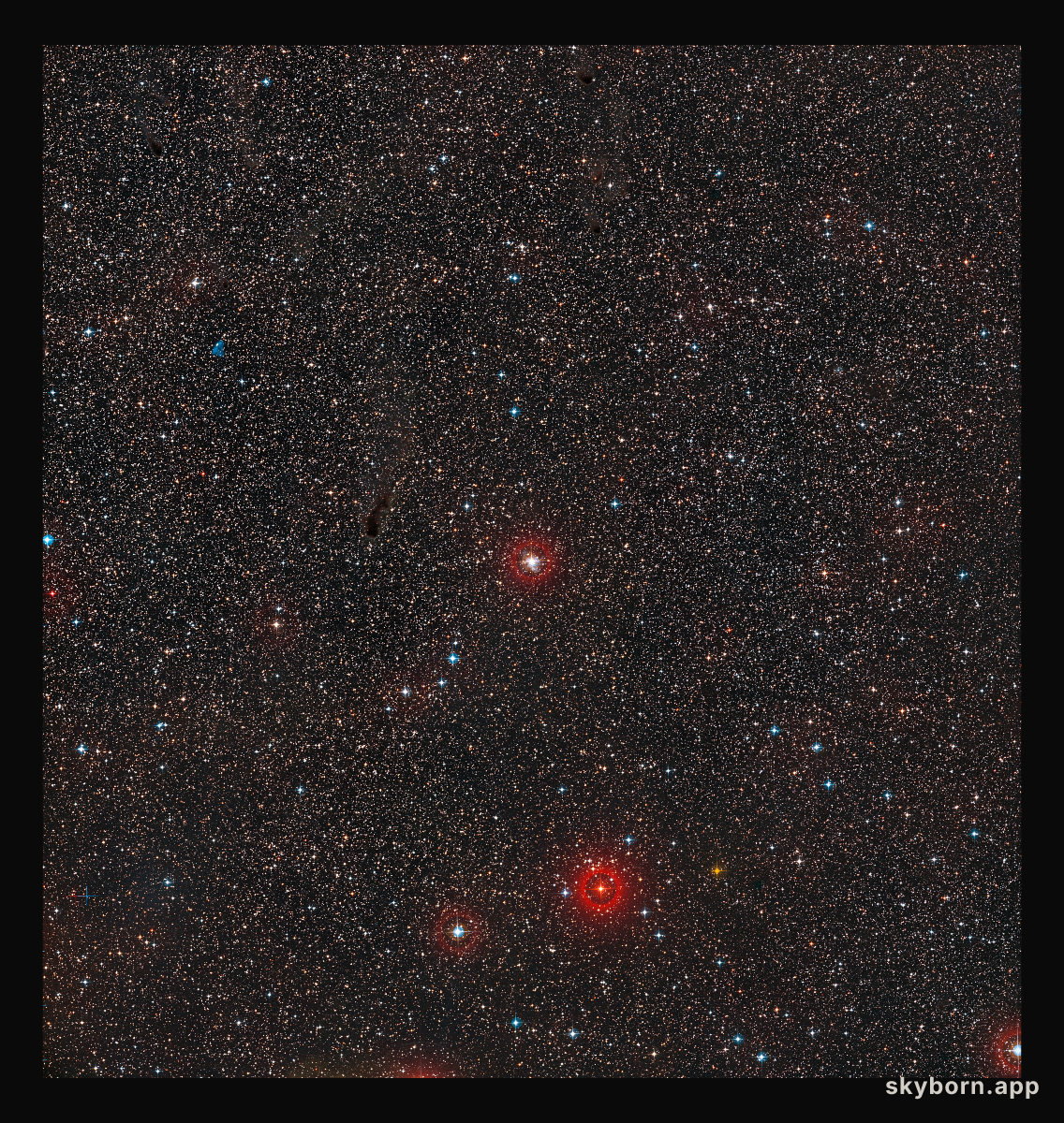 Wide-field image of RS Puppis (ground-based image)