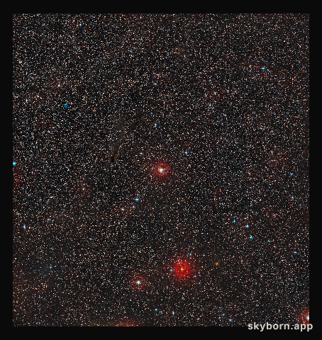Wide-field image of RS Puppis (ground-based image)