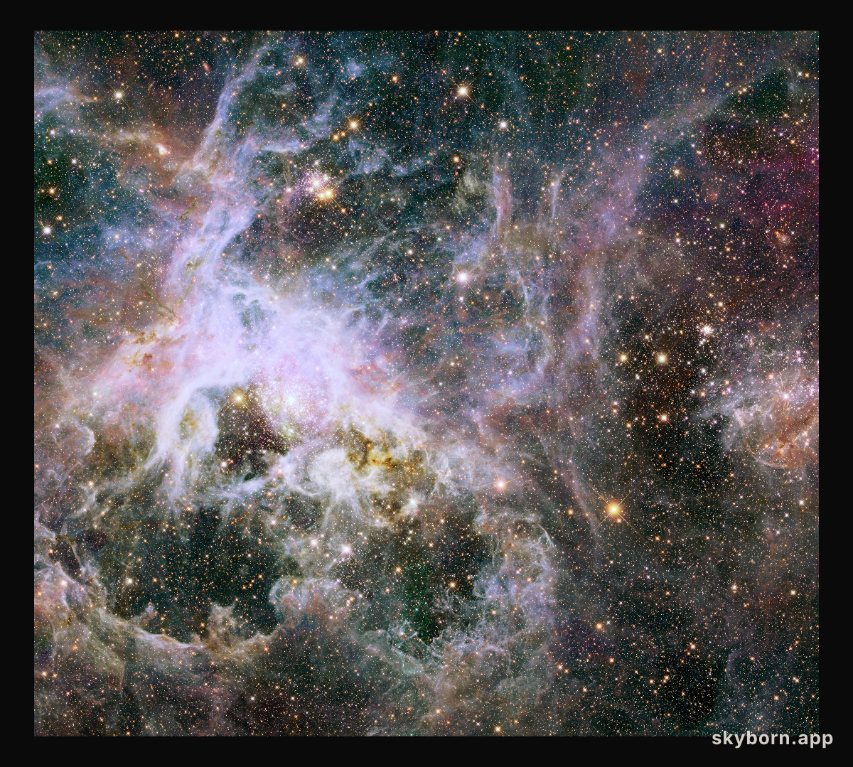 New Hubble infrared view of the Tarantula Nebula