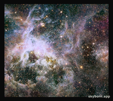 New Hubble infrared view of the Tarantula Nebula