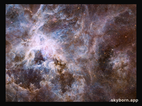Hubble optical view of the Tarantula Nebula