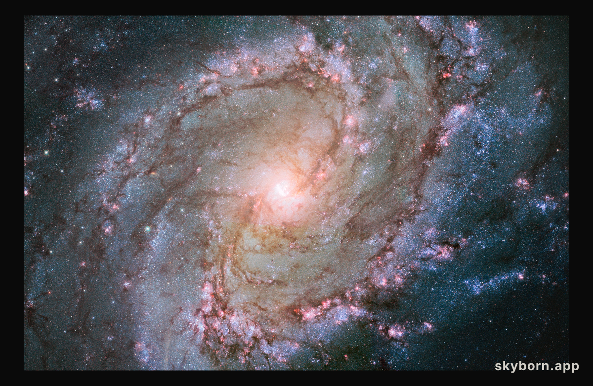 Hubble view of barred spiral galaxy Messier 83