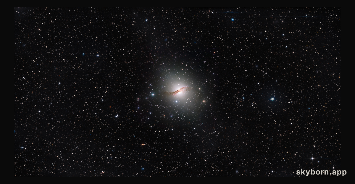 Centaurus A halo