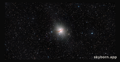 Centaurus A halo