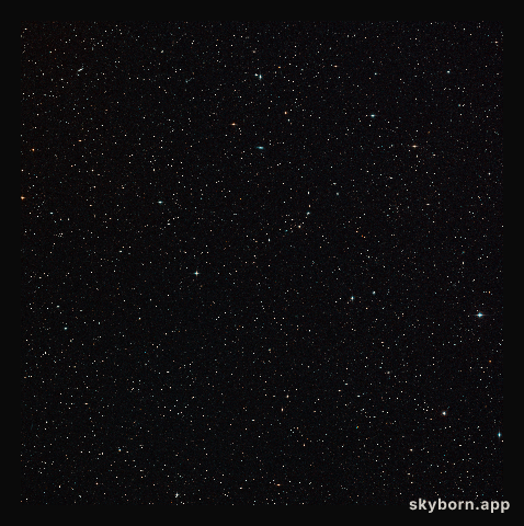 Wide-field view of the sky around the gravitationally lensed galaxy merger H-ATLAS J142935.3-002836