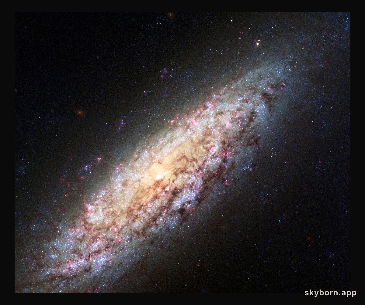 NGC 6503