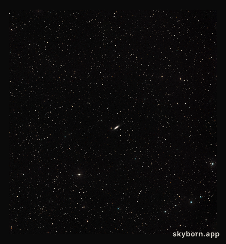 The area around NGC 6503 (ground-based image)