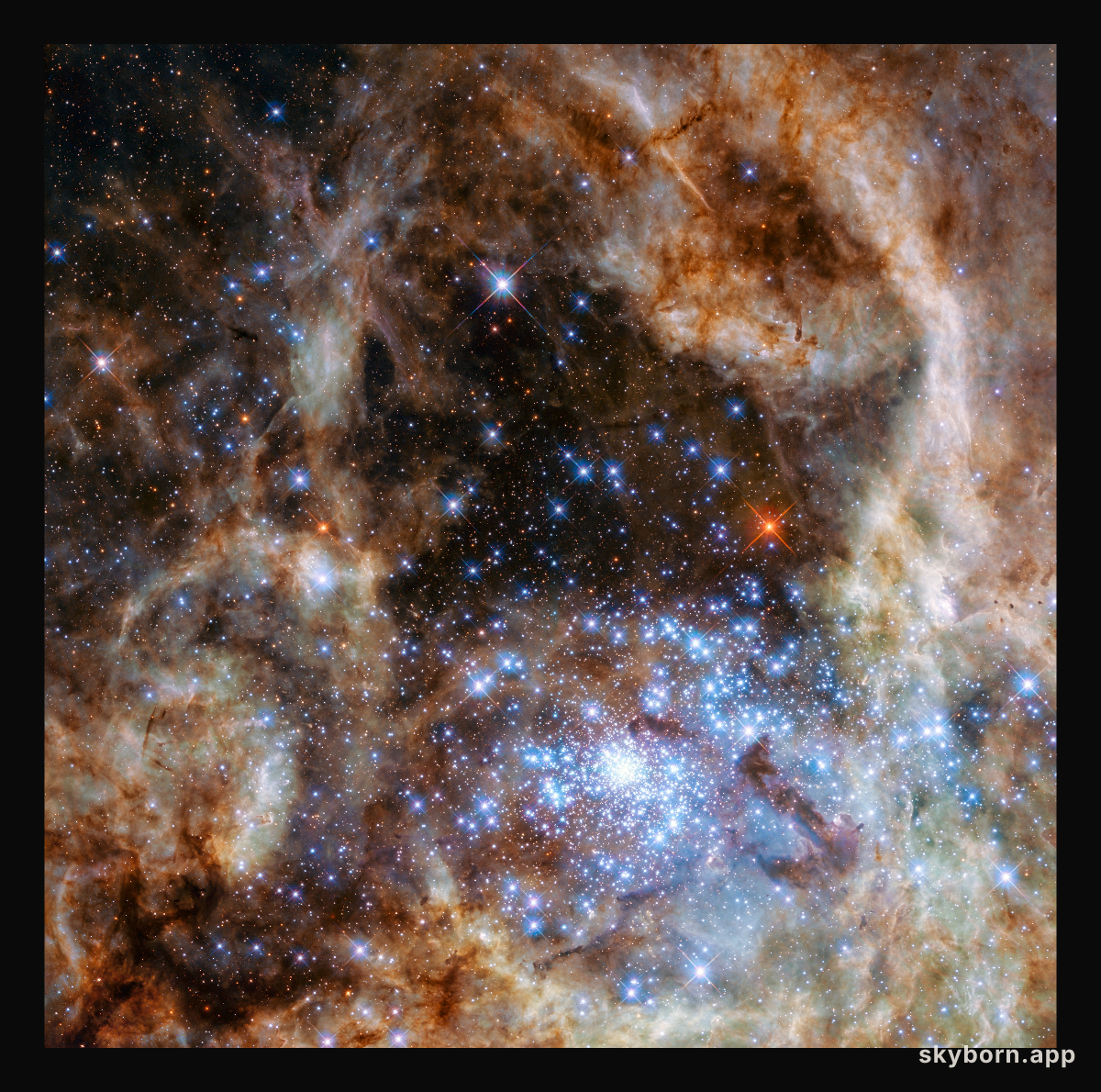 R136 observed with WFC3