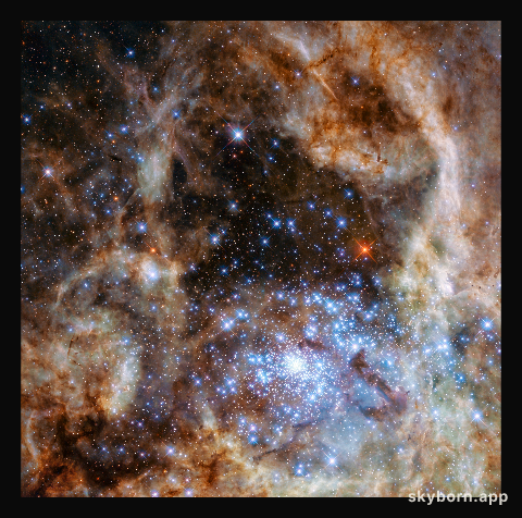 R136 observed with WFC3
