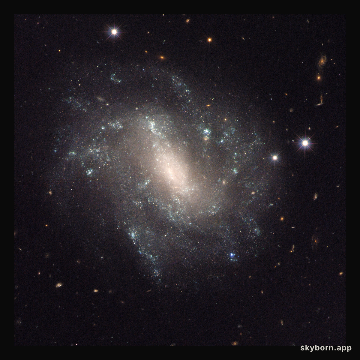 UGC 9391