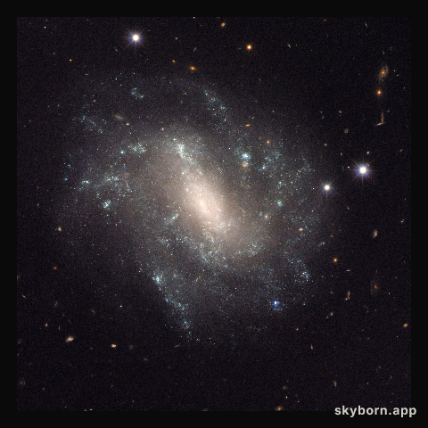UGC 9391