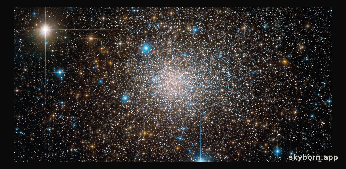 The unusual cluster Terzan