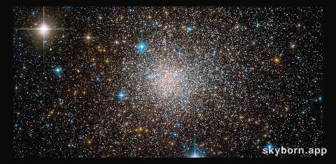 The unusual cluster Terzan