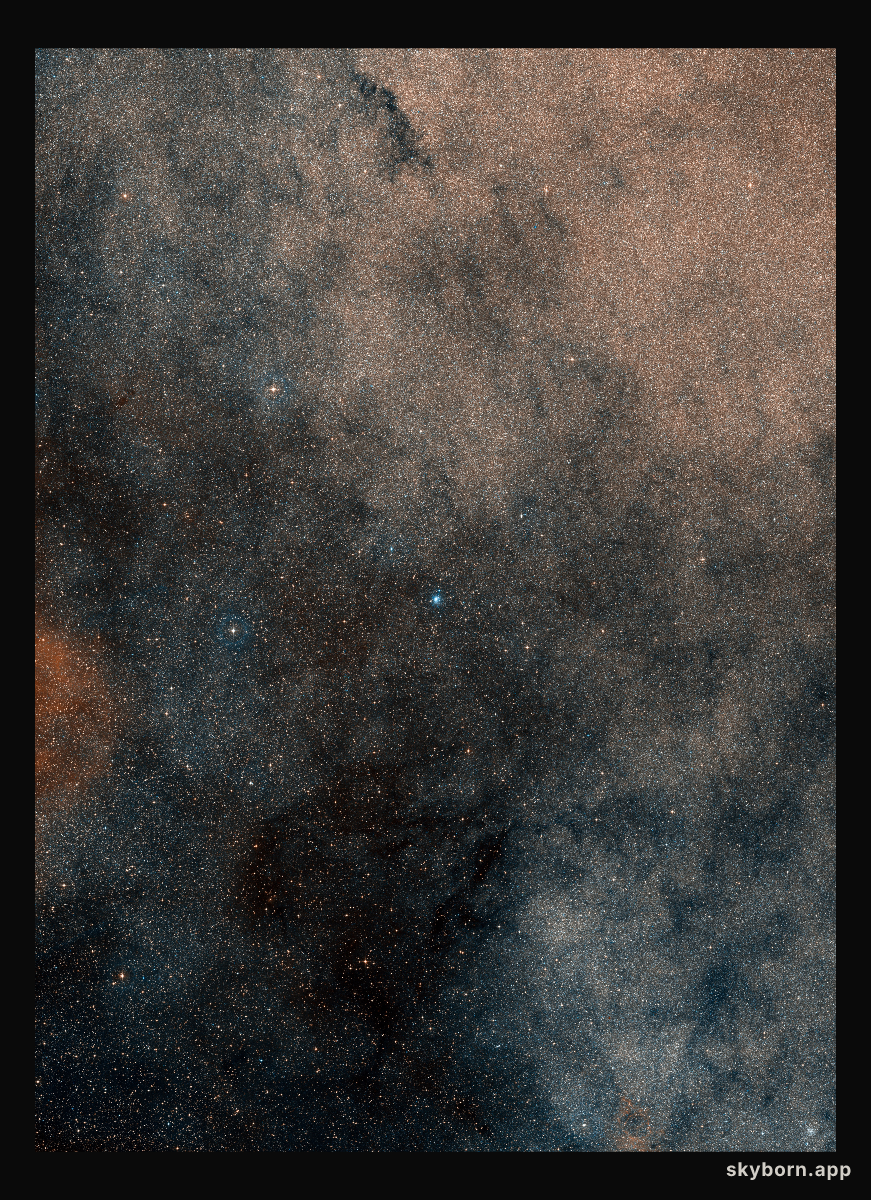 Around the star cluster Terzan 5