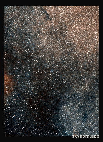 Around the star cluster Terzan 5
