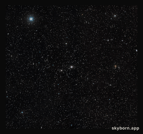 Wide-field image of NGC 4696 (ground-based image)