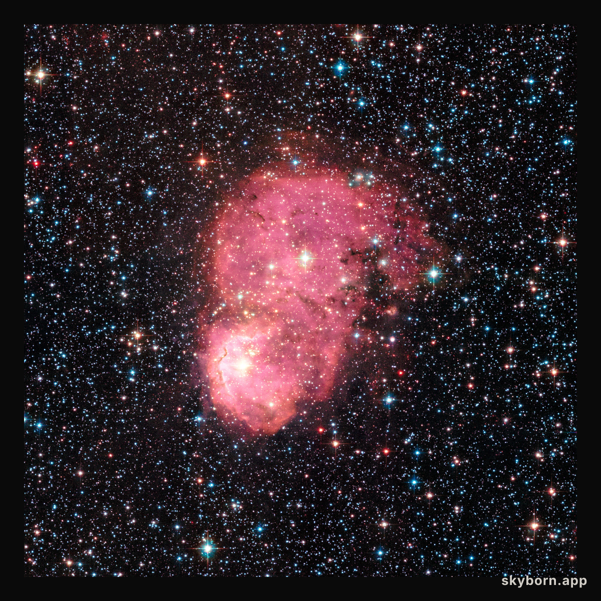 Festive nebulae