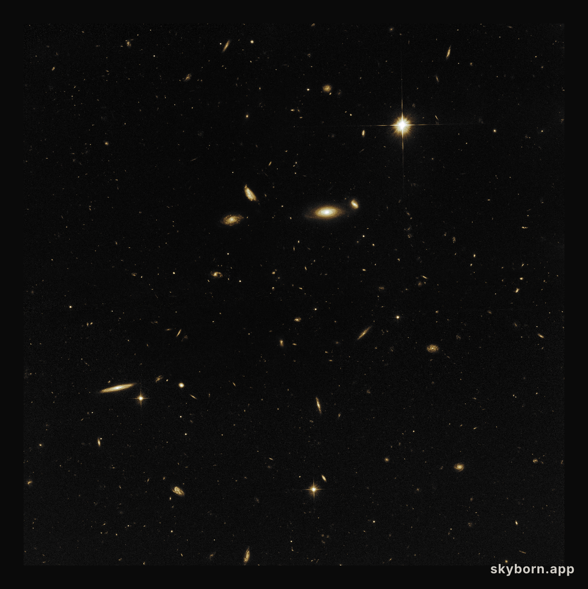 A sea of galaxies