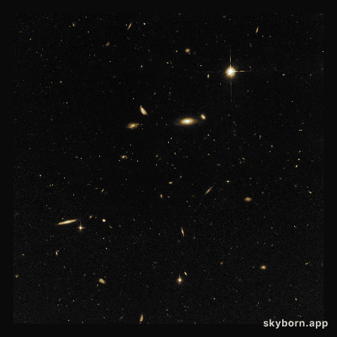 A sea of galaxies