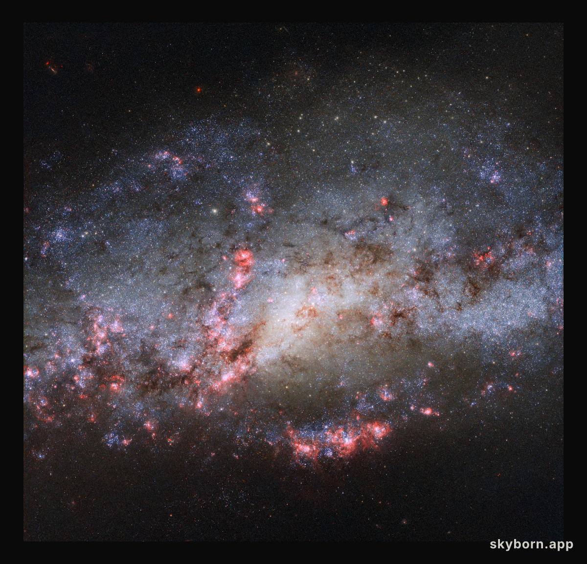 Result of a galactic crash