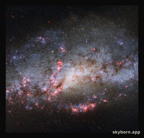 Result of a galactic crash