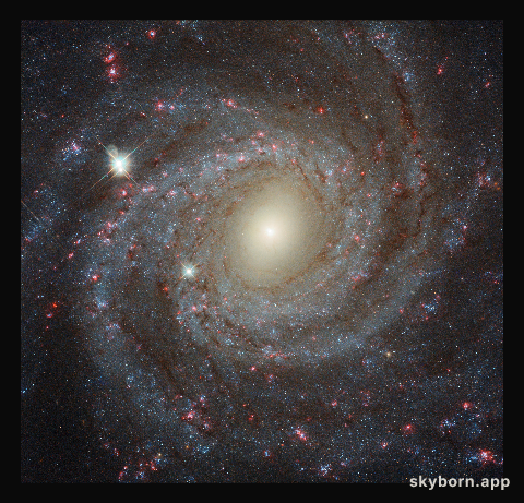 Multi-filter image of NGC 3344