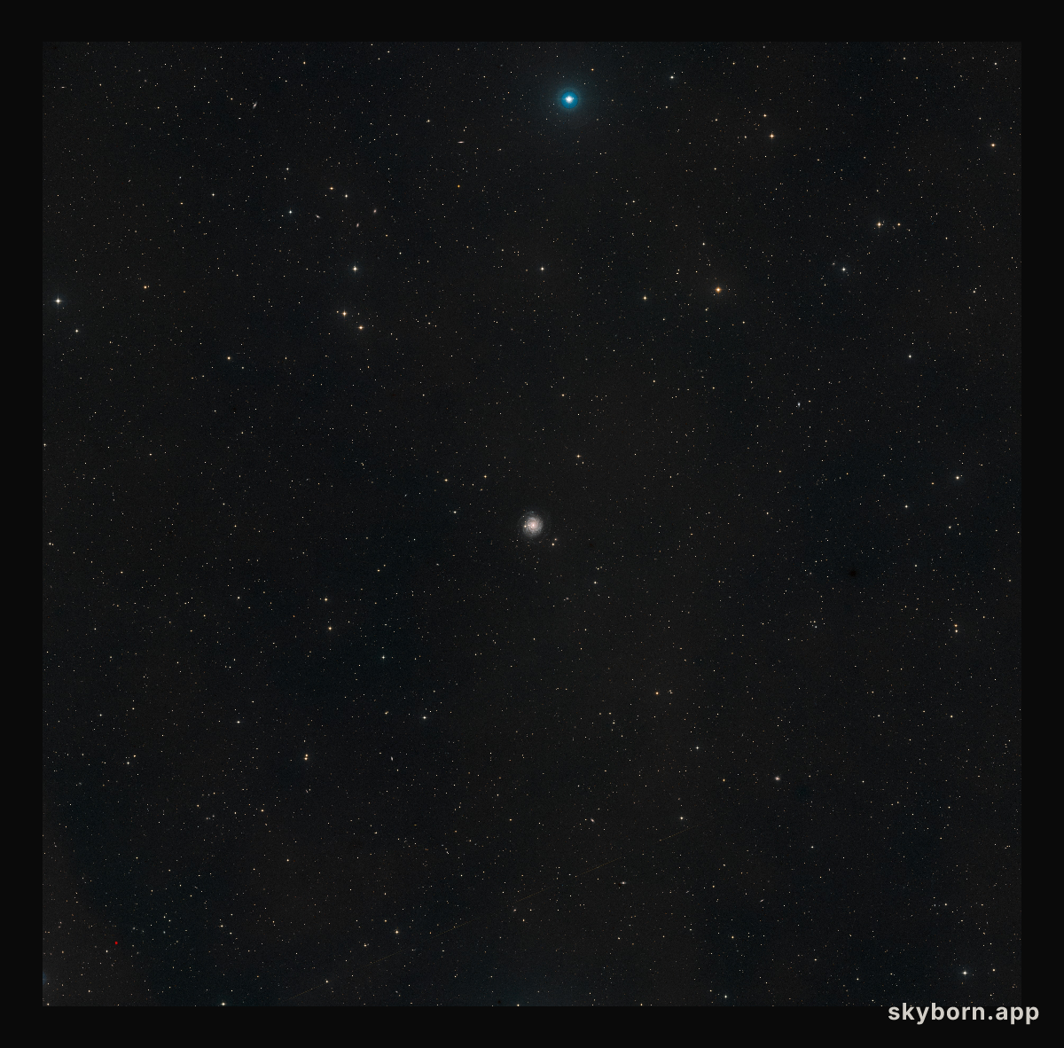 Wide-field image of NGC 3344 (ground-based image)
