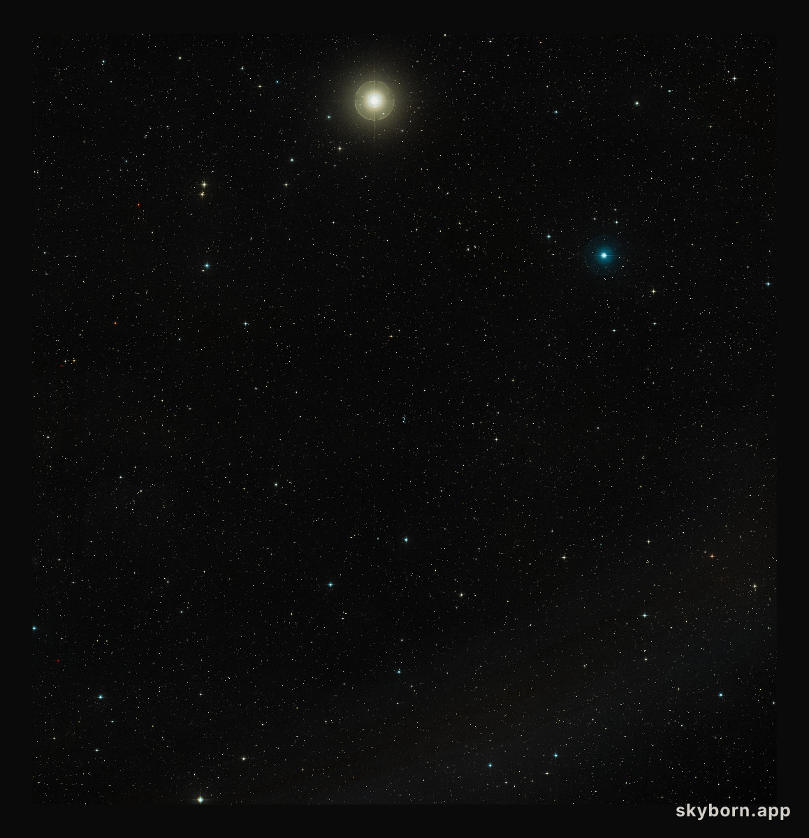 Wide-field view of Arp 256 (ground-based image)