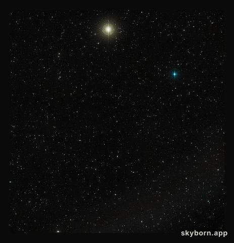 Wide-field view of Arp 256 (ground-based image)