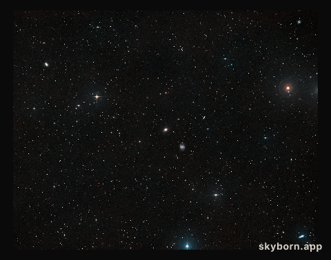 Ground-based view of the sky around the galaxies NGC 1052-DF4 NGC & 1052-DF2