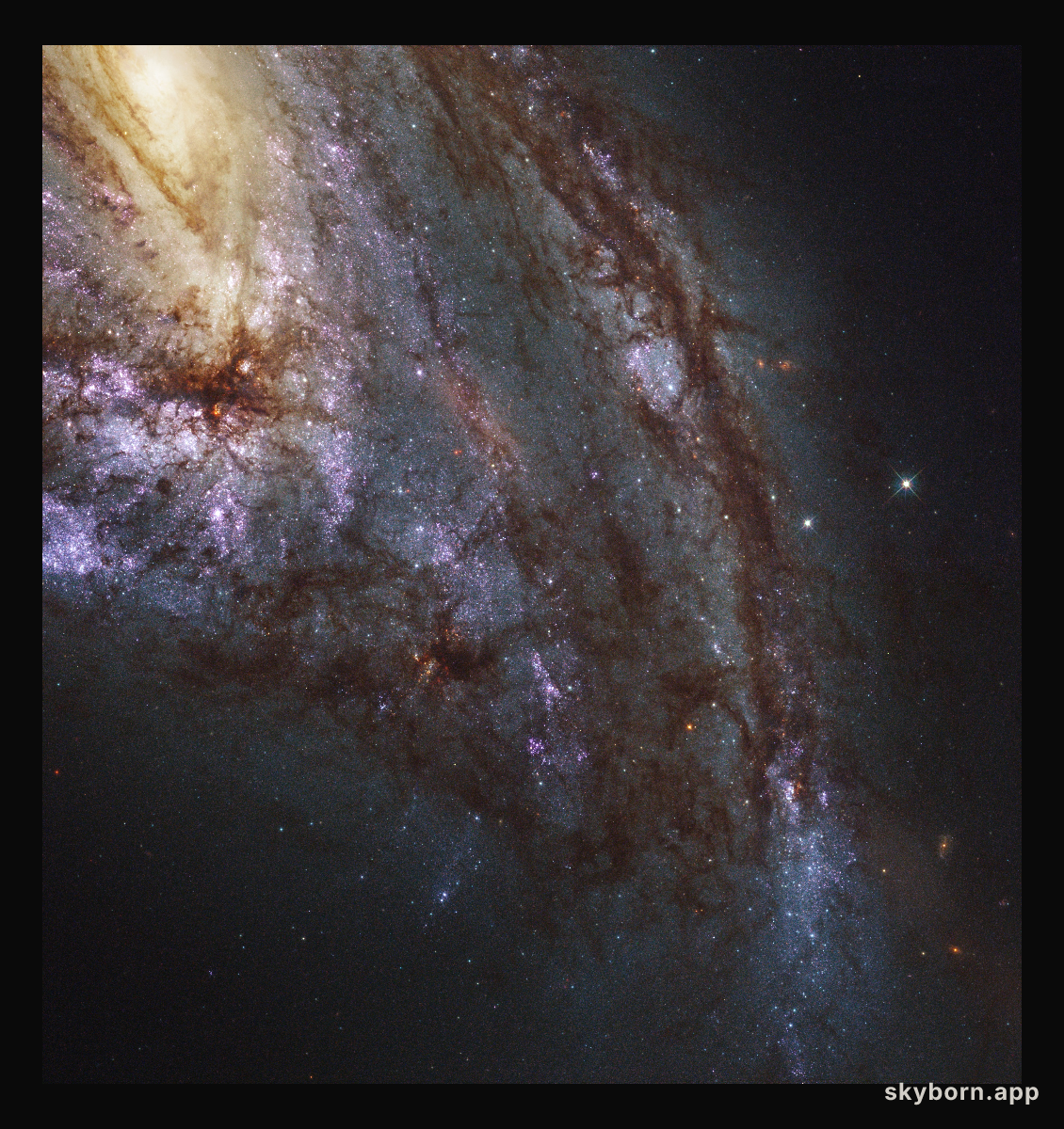 Messier 66: member of the Leo Triplet