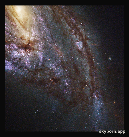 Messier 66: member of the Leo Triplet