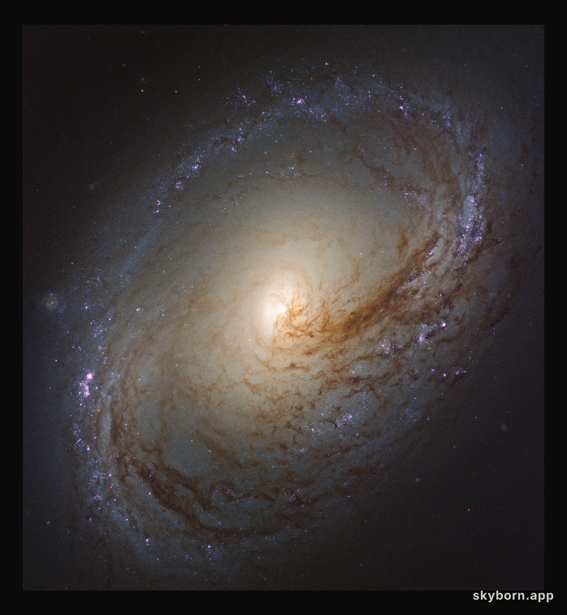 Wave of star formation in Messier 96