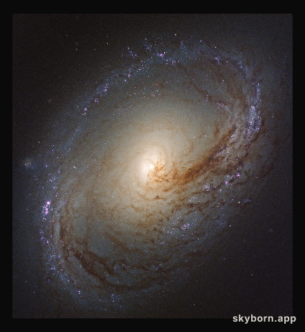 Wave of star formation in Messier 96