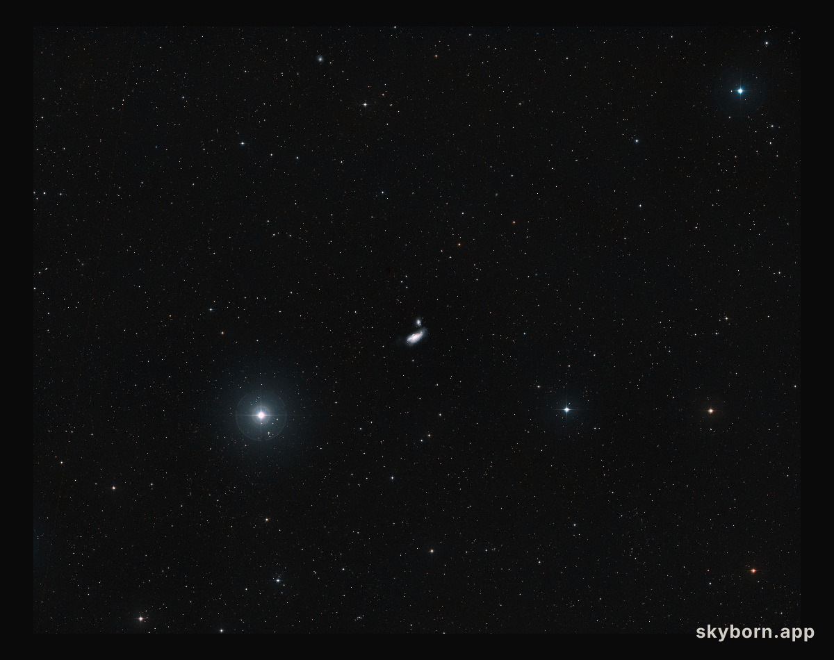 Distant view of a galactic crash: NGC 4490 and NGC 4485 (ground-based image)