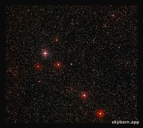 Ground-based view of the sky around the galaxy ESO 495-21