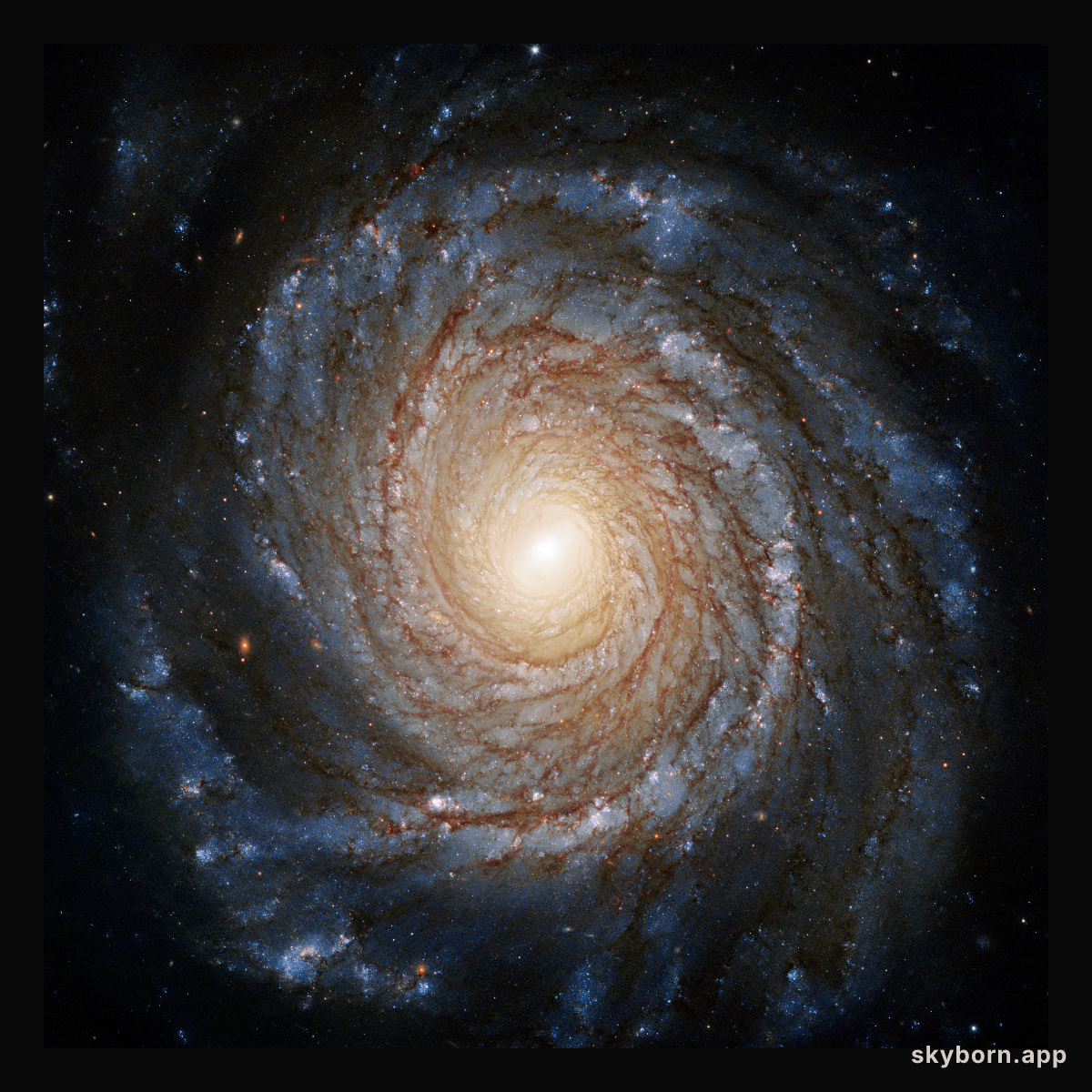Galaxy NGC 3147