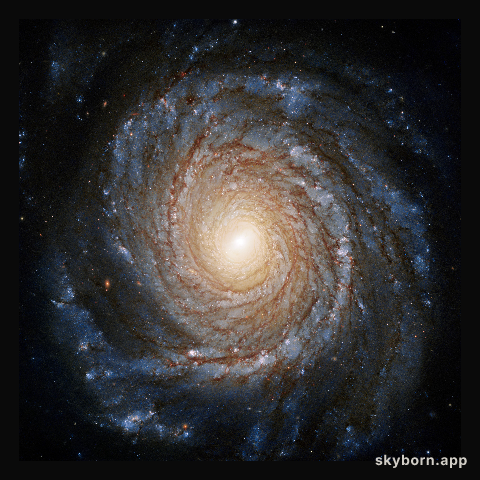 Galaxy NGC 3147