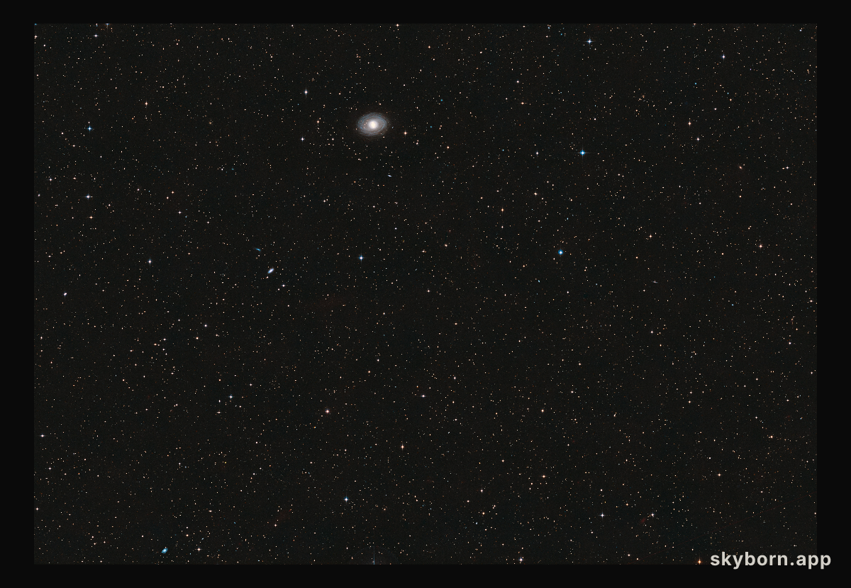 Wide-field view of GRB 190114C (ground-based view)