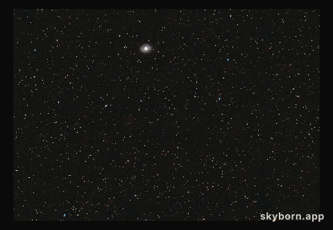 Wide-field view of GRB 190114C (ground-based view)